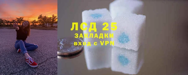 шишки Снежногорск
