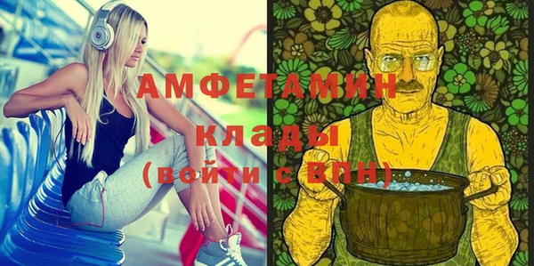 шишки Снежногорск