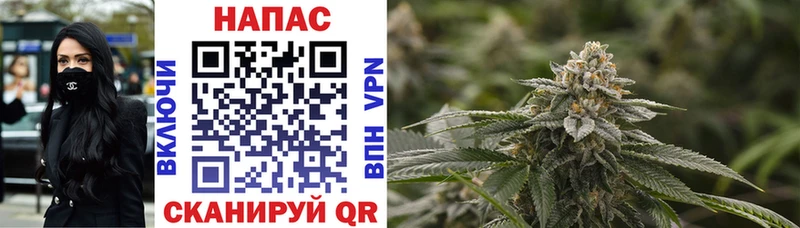 Бошки марихуана LSD WEED даркнет сайт Аркадак